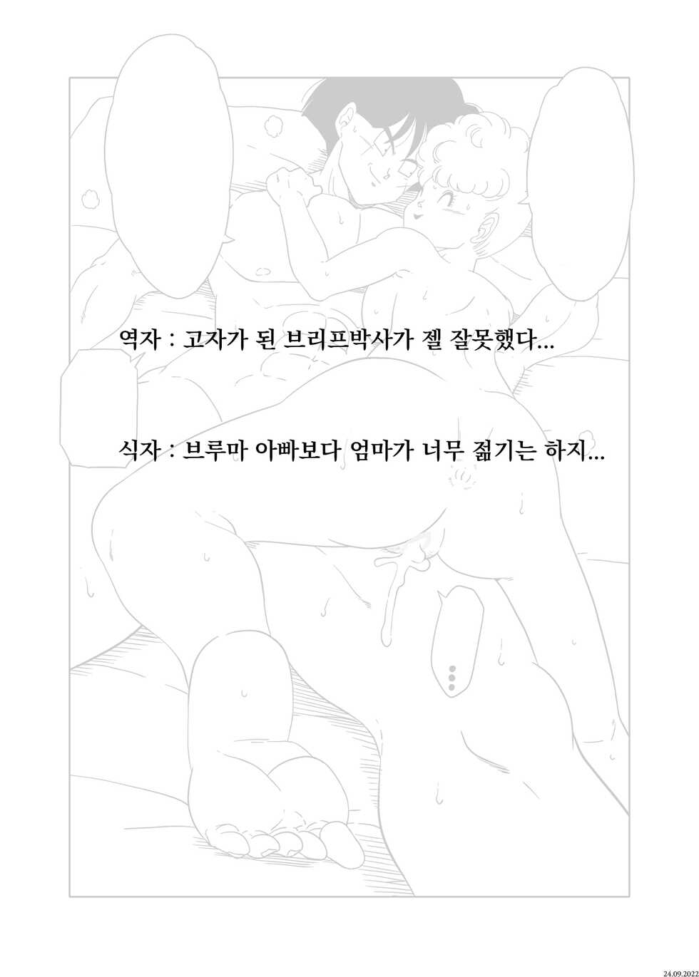 [Old School Academy (Amedama Akihito) ] DB-X Yamcha x Bulma no Mama Hen (Dragon Ball Z) [Korean] - Page 27