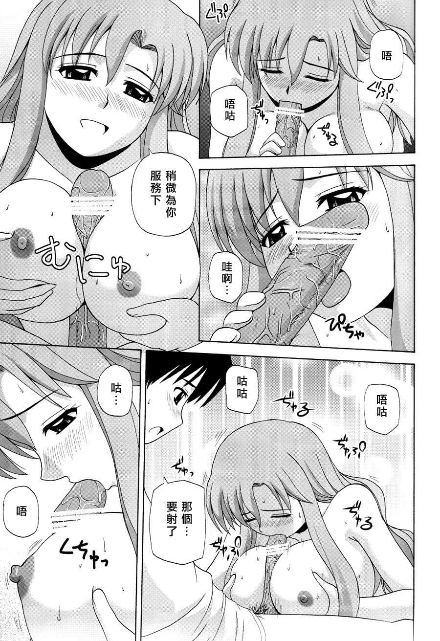 (C76) [G-SCAN CORP. (Satou Chagashi)] Le beau maitre 6 (Zero no Tsukaima) [Chinese] [時空漢化組] - Page 20