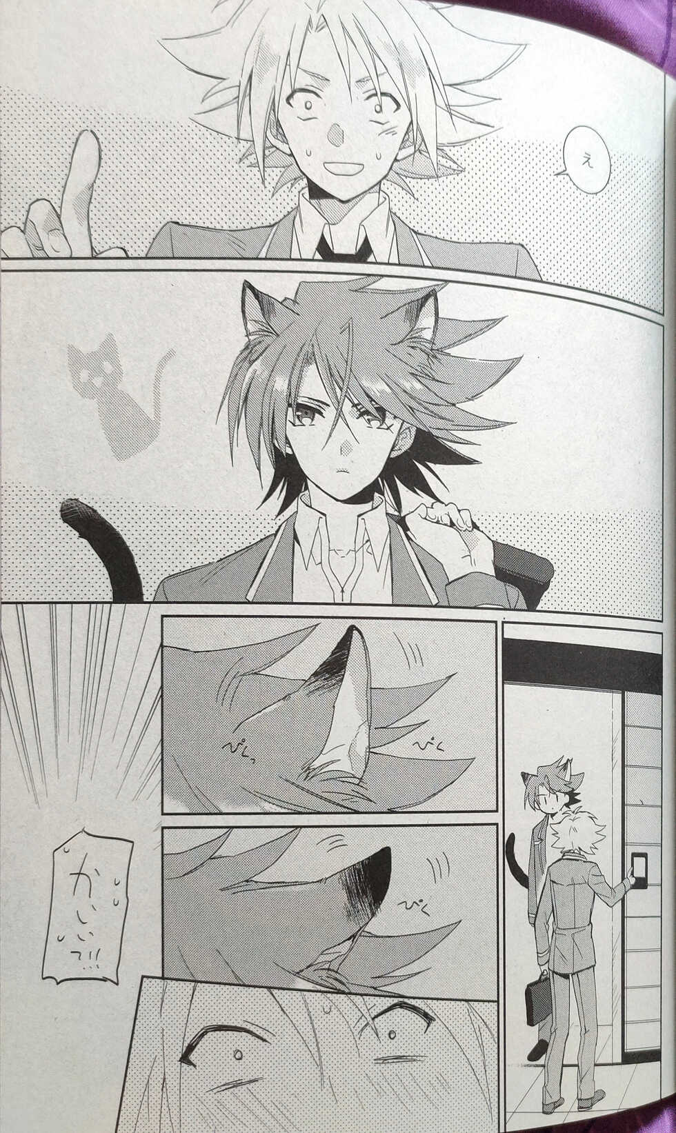 (Stand Up! 9) [4DIP (Tarte)] NEKONIMATATABI (Cardfight!! Vanguard) - Page 2