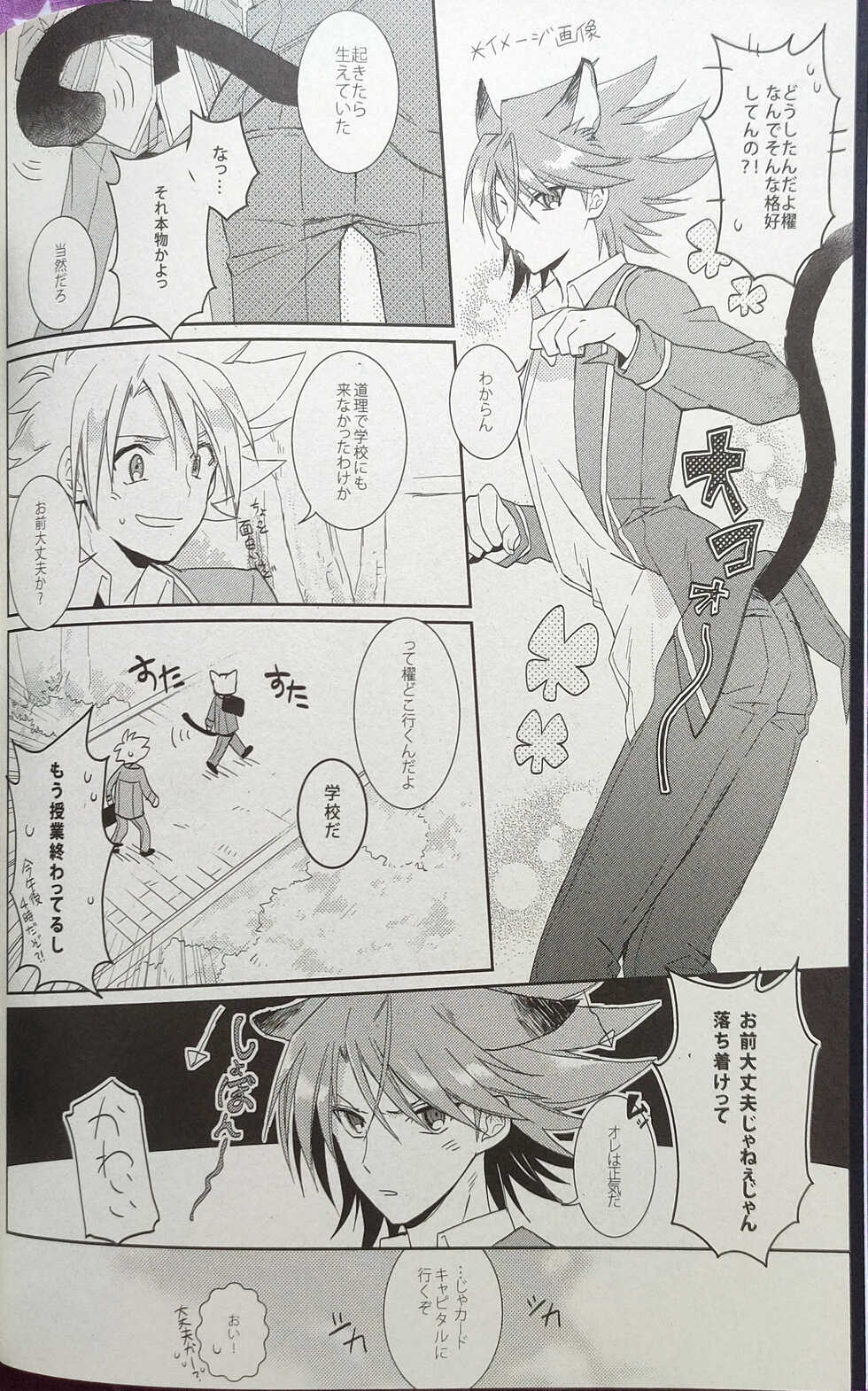 (Stand Up! 9) [4DIP (Tarte)] NEKONIMATATABI (Cardfight!! Vanguard) - Page 3