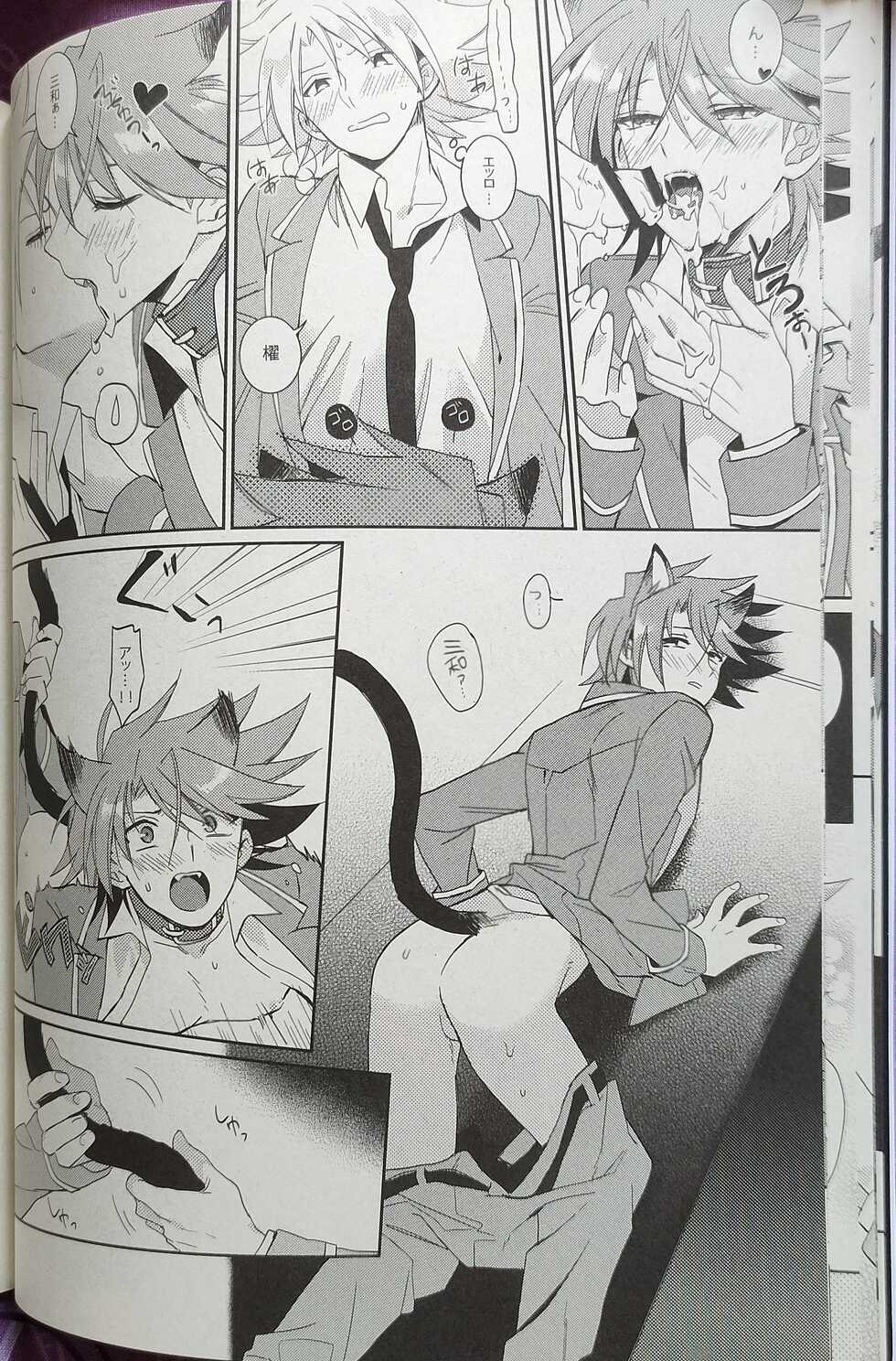 (Stand Up! 9) [4DIP (Tarte)] NEKONIMATATABI (Cardfight!! Vanguard) - Page 15