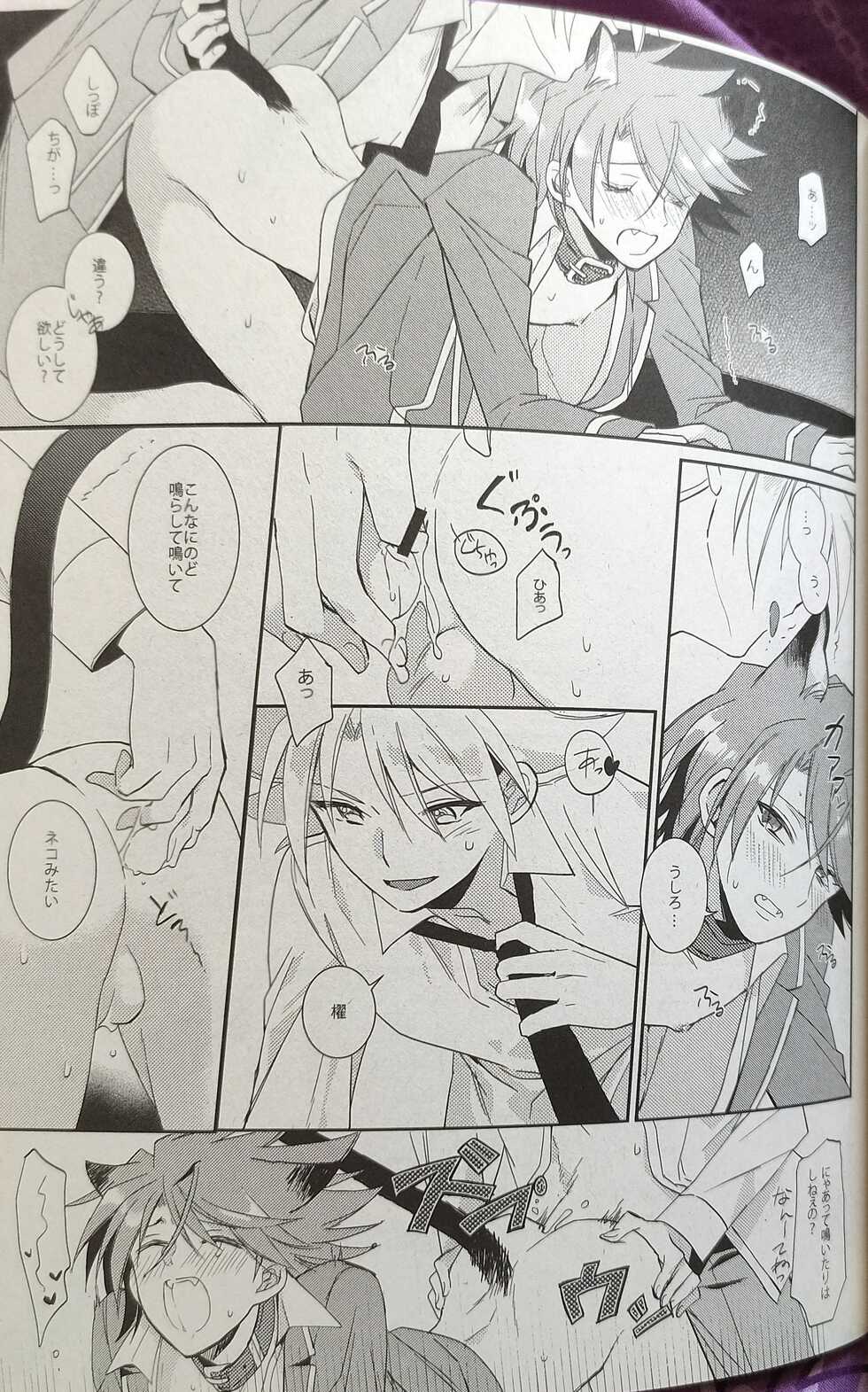(Stand Up! 9) [4DIP (Tarte)] NEKONIMATATABI (Cardfight!! Vanguard) - Page 16