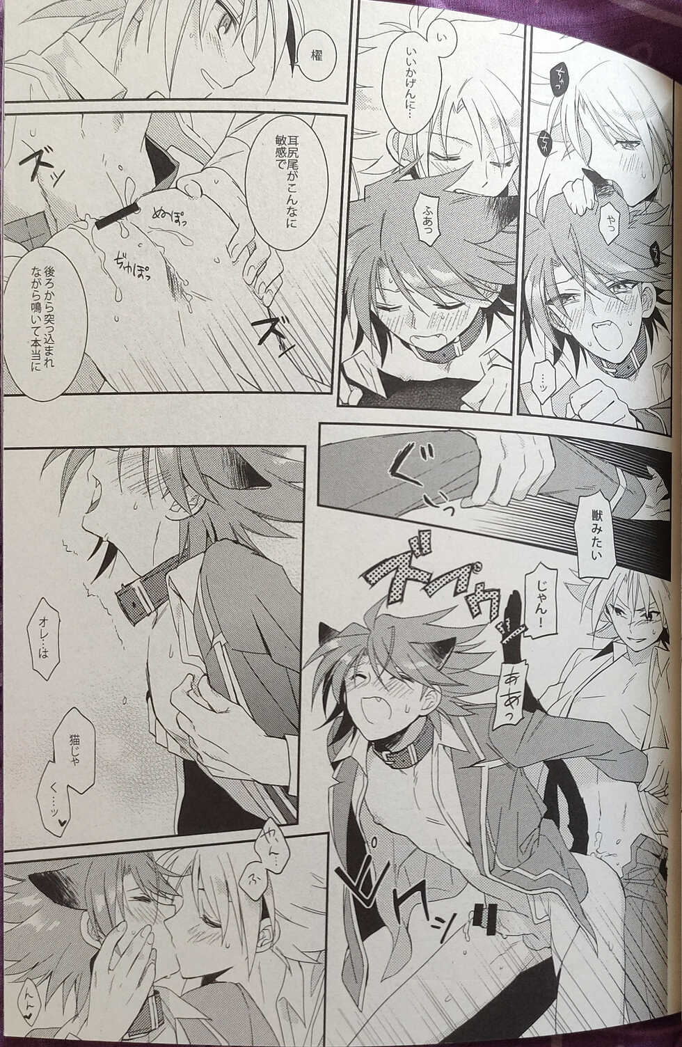 (Stand Up! 9) [4DIP (Tarte)] NEKONIMATATABI (Cardfight!! Vanguard) - Page 20
