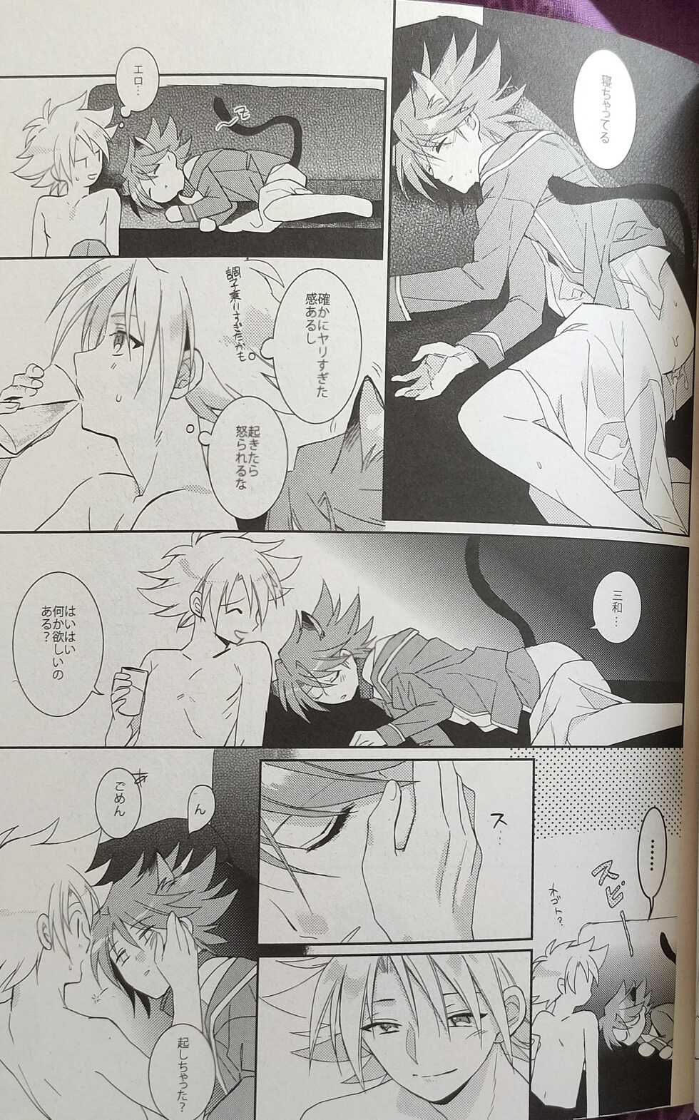 (Stand Up! 9) [4DIP (Tarte)] NEKONIMATATABI (Cardfight!! Vanguard) - Page 24