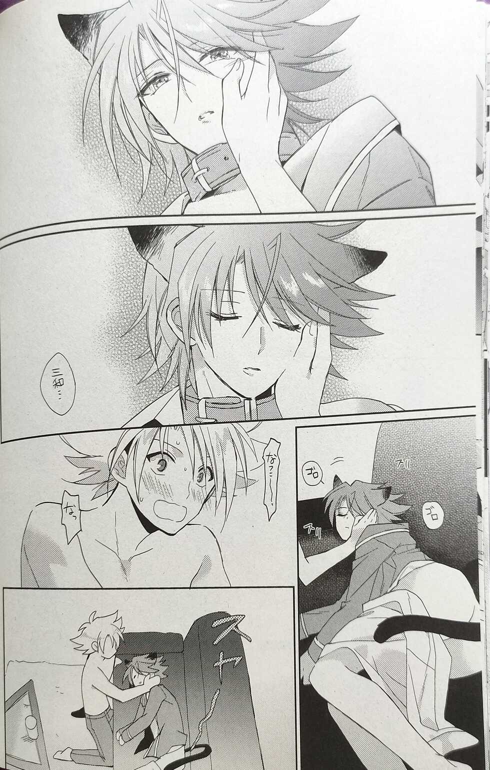 (Stand Up! 9) [4DIP (Tarte)] NEKONIMATATABI (Cardfight!! Vanguard) - Page 25