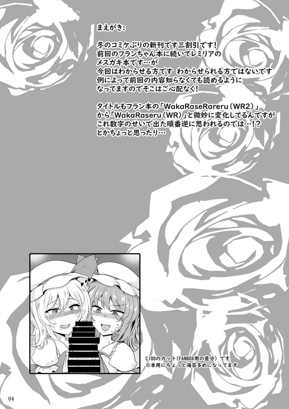 [MegaSoundOrchestra (Sanwaribiki)] MSGKWR-Remy- (Touhou Project) [Digital] - Page 3