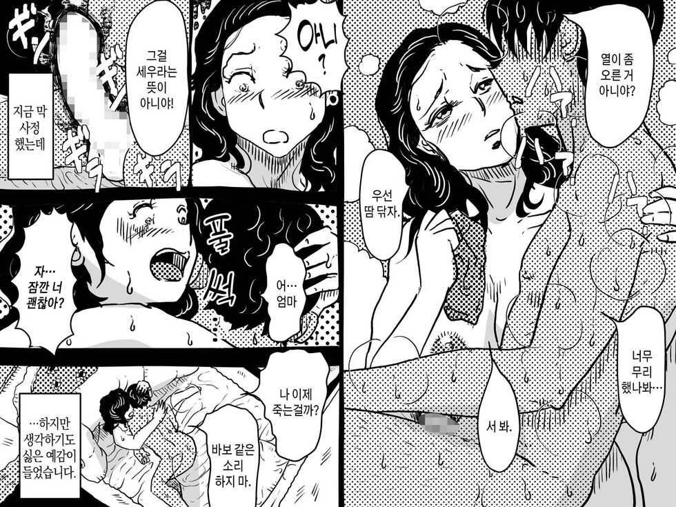 [JUNK Center Kameyoko Bldg] Hajimete no Kinshinsoukan. Issen o Koete Nakadashi Kanbyou o Shite Kureta Mama no Hanashi. | 첫 근친 상간. 금단의 선을 넘어 질내사정 간병을 해준 엄마의 이야기. [Korean] [팀 마스터] - Page 28