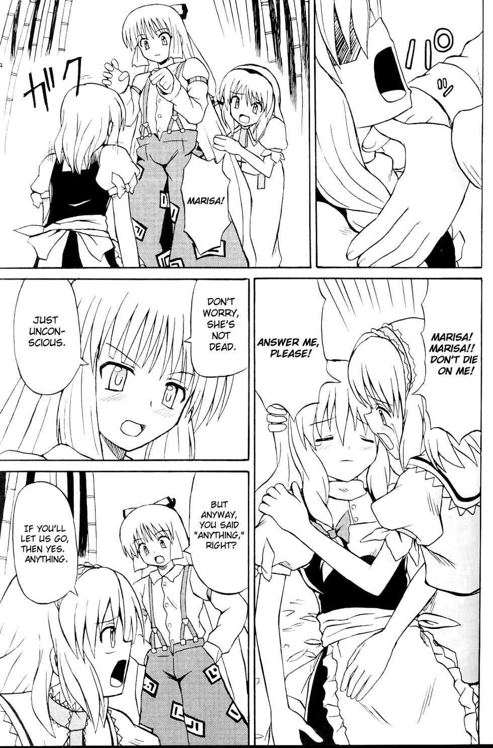 (C67) [Takaku-ya (Takaku Toshihiko)] Touhou Youjo Ranbu | Touhou Enchantresse's Dance (Touhou Project) [English] - Page 12