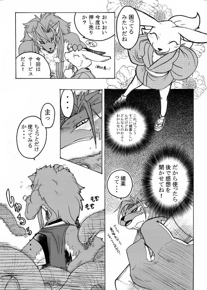 (C77) [Mercurochrome (ri suou)] Sourou Vol. 1 (Shining Force EXA) - Page 4