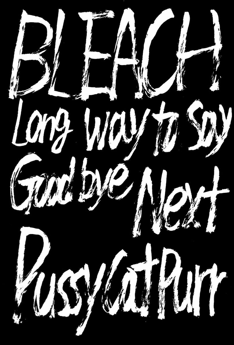 (C70) [Circle Taihei-Tengoku (Towai Raito)] Zone 33 PUSSY CAT PURR (Bleach) [English] [EHCOVE] - Page 2