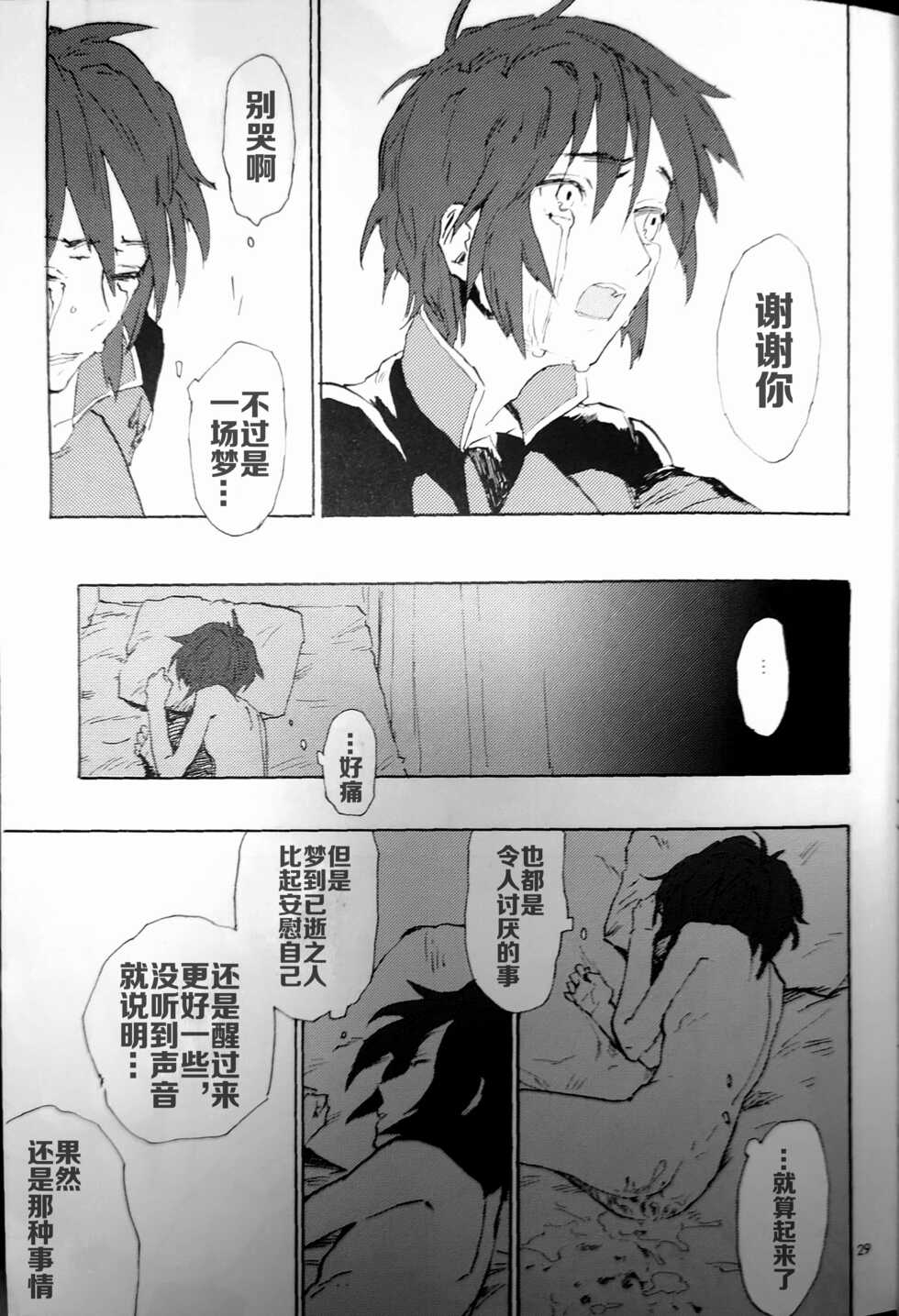 [NEO-de (Natsusaka)] Morning Star (Gundam Seed Destiny) [Chinese] - Page 28