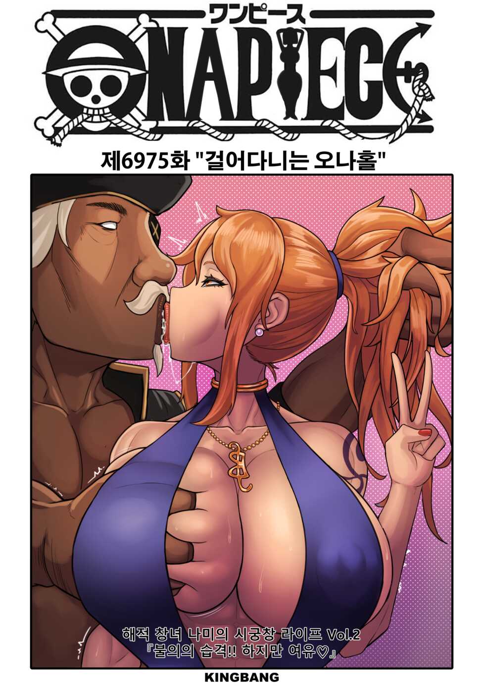 [kingbang] ONEPIECE-Nami's Fuck Life (One Piece) [Decensored] - Page 14