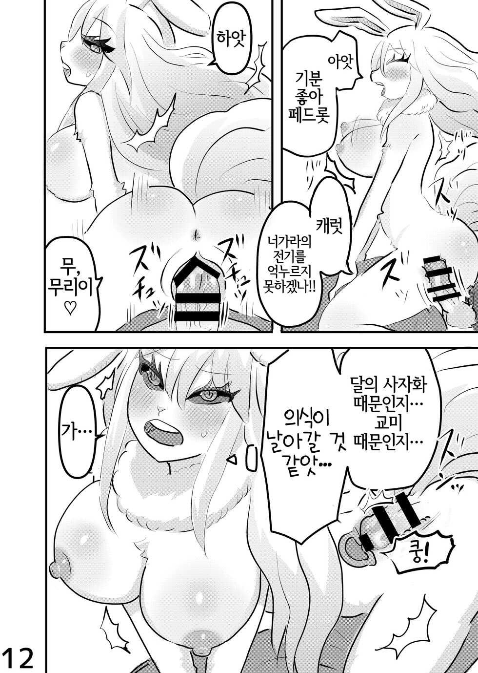 (Kemoket 12) [Kuri Gohan (Yocchi)] Mangetsu no Yoru ni | 만월의 밤에 (One Piece) [Korean] [LWND] - Page 11