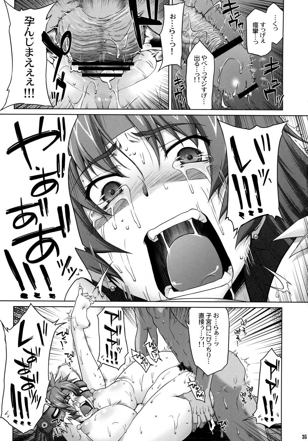 (C75) [Sago-Jou (Seura Isago)] Risty-Rin ~Kanzenban~ (Queen's Blade) - Page 34