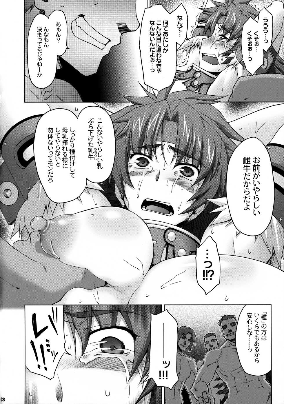 (C75) [Sago-Jou (Seura Isago)] Risty-Rin ~Kanzenban~ (Queen's Blade) - Page 37