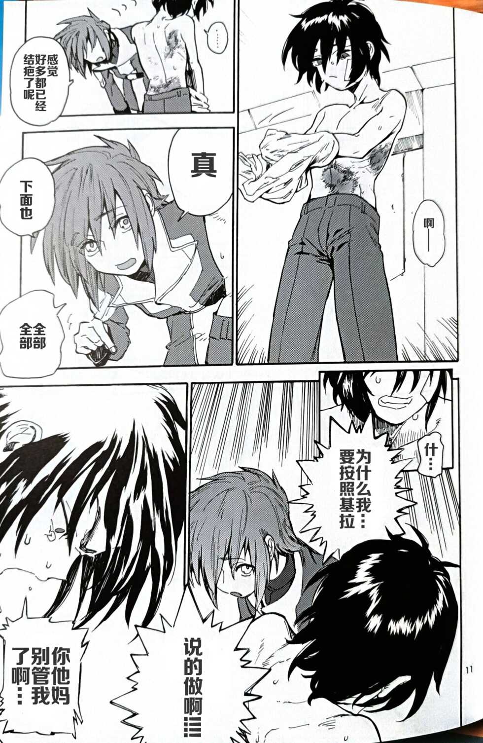 (G Spirits 4) [NEO-de (Natsusaka)] Smiley (Gundam Seed Destiny) [Chinese] - Page 11