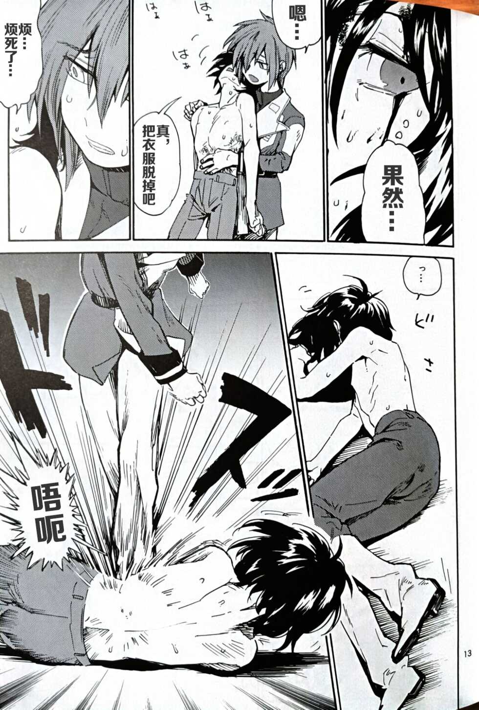 (G Spirits 4) [NEO-de (Natsusaka)] Smiley (Gundam Seed Destiny) [Chinese] - Page 13