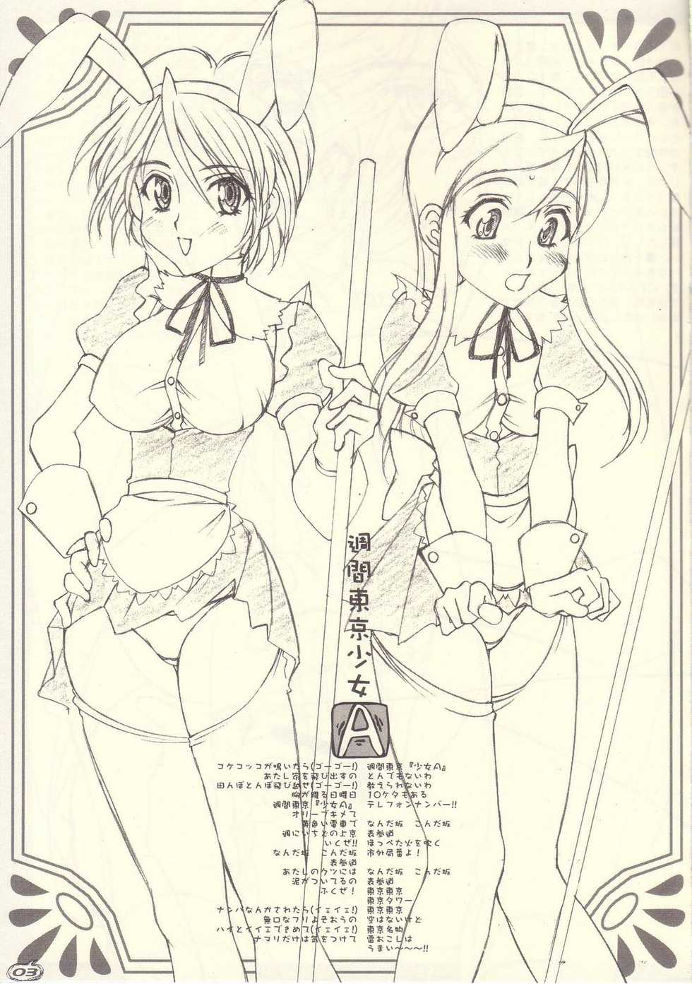 (C66) [Luck & Pluck! Co. (Amanomiya Haruka)] Shuukan Toukyou Shoujo Aa (Pretty Cure) - Page 3