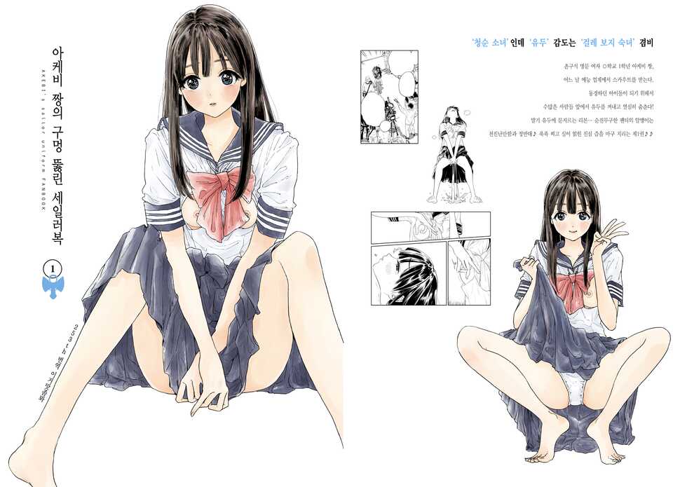 [FAny] Akebi-chan no Anaaki Sailor Fuku Watasareta no wa "Oppai Marudashi Sailor Fuku" | 아케비 짱의 구멍 뚫린 세일러복 ~받은 것은 가슴이 훤히 보이는 세일러복.~ (Akebi-chan no Sailor Fuku) [Korean] [이거맛좀봐] - Page 19