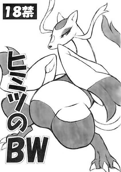 (Fur-st) [Mayoineko (Nakagami Takashi)] Himitsu no BW (Pokémon) [Korean] - Page 2