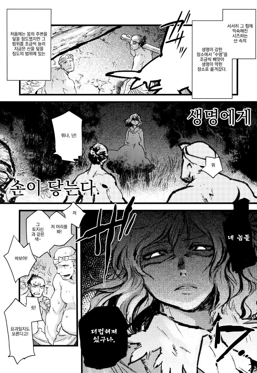 (C84) [Rapid Rabbit (Tomotsuka Haruomi)] Hakutei no Sho | 백제의 서 (Touhou Project) [Korean] - Page 27