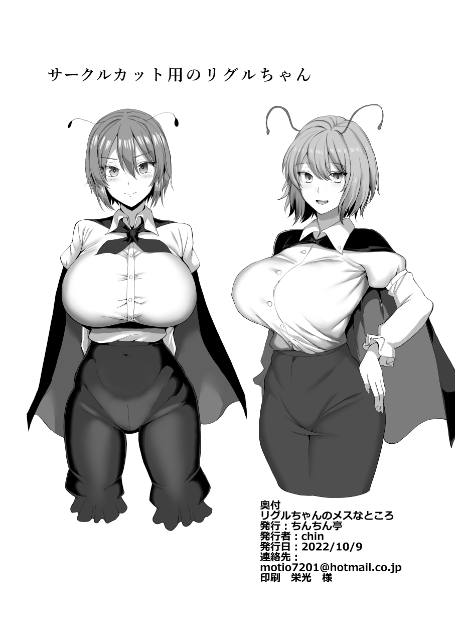 [Chinchintei (chin)] Wriggle-chan no Mesu na Tokoro (Touhou Project) [Digital] - Page 19