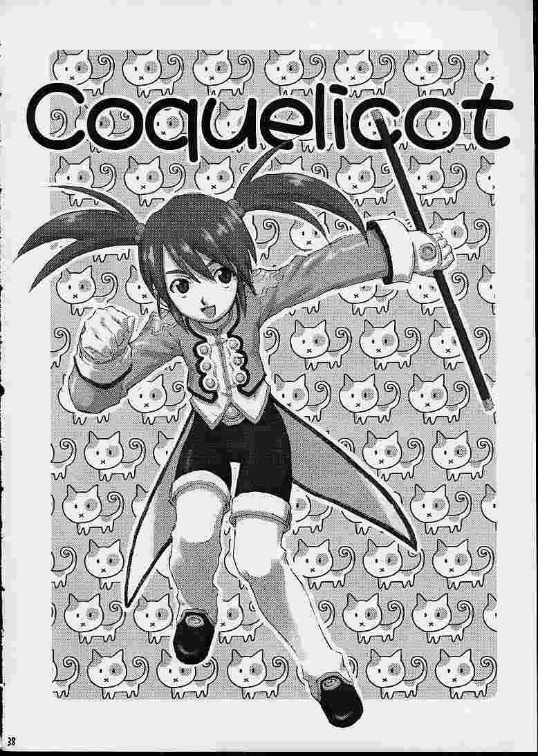 (CR29) [Fukupukutei (Akai Yatsuka)] A House Cat (Sakura Taisen 3) - Page 37