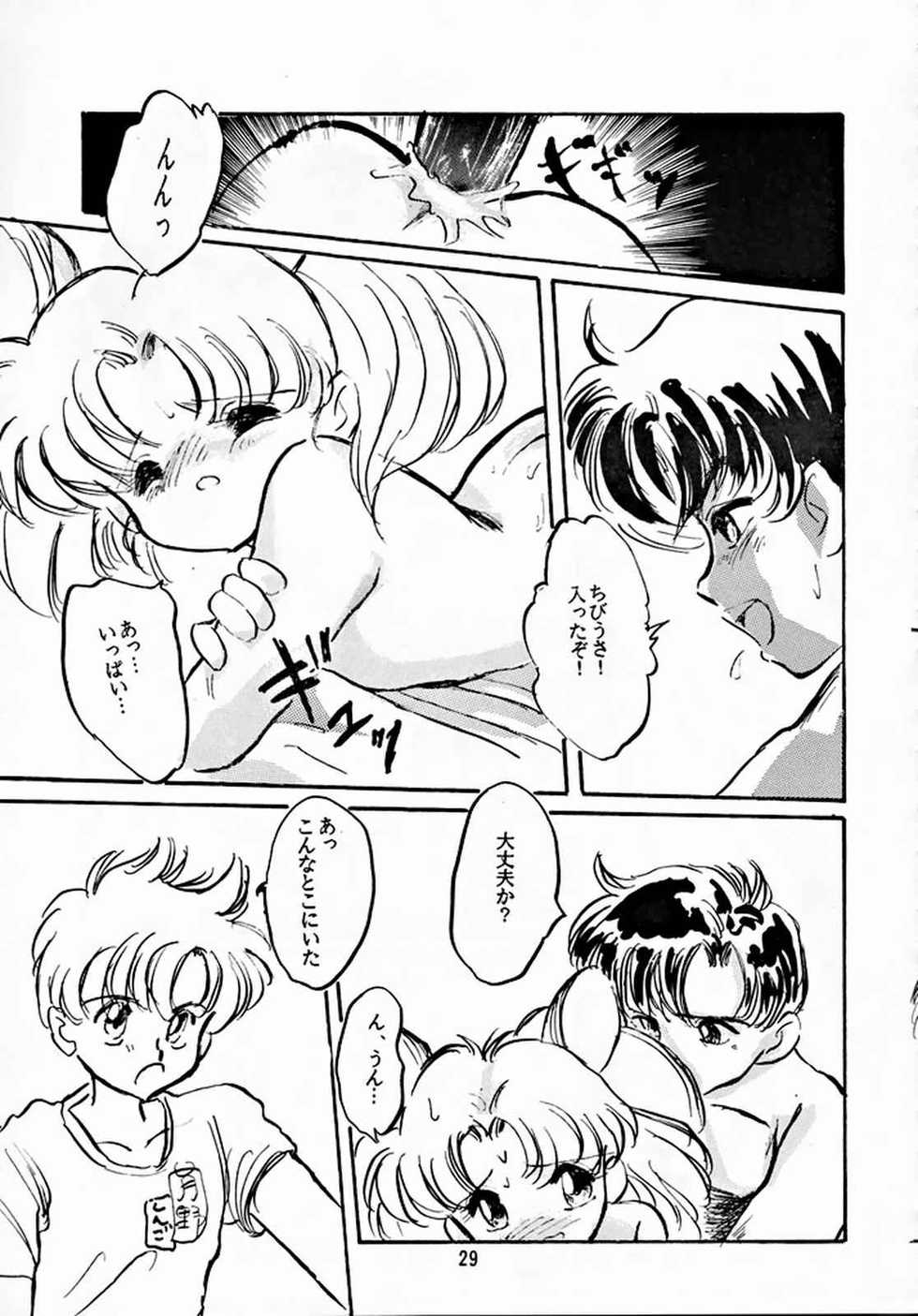 (C44) [Misty Midnight (Shirasaka Biyu)] Hakubo (Bishoujo Senshi Sailor Moon) - Page 28