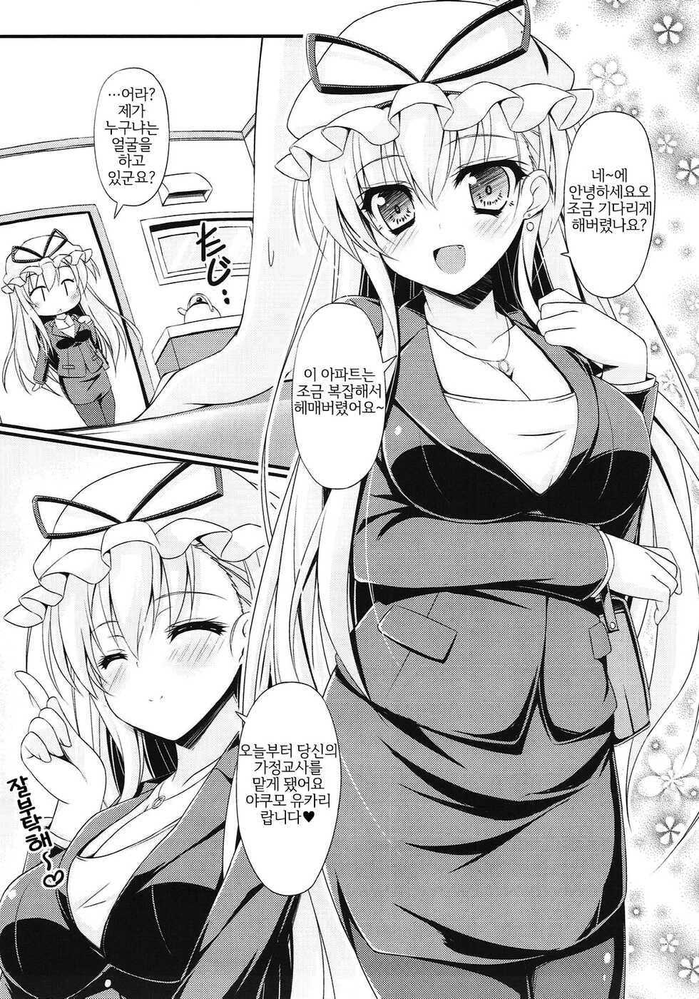 (C86) [Mofurentei (Xe)] Wagaya ni Kenja ga Yatte Kita!! (Touhou Project) [Korean] {역식채널} - Page 3