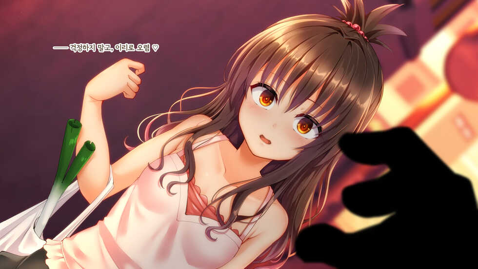 [Fuurintei (Touchuu Kasou)] Kateiteki na JS Imouto ga Kinjo no Oji-san ni Okusuri Choukyou Sarete Nikubenki ni Naru Hanashi (To Love-Ru) [Korean] - Page 3