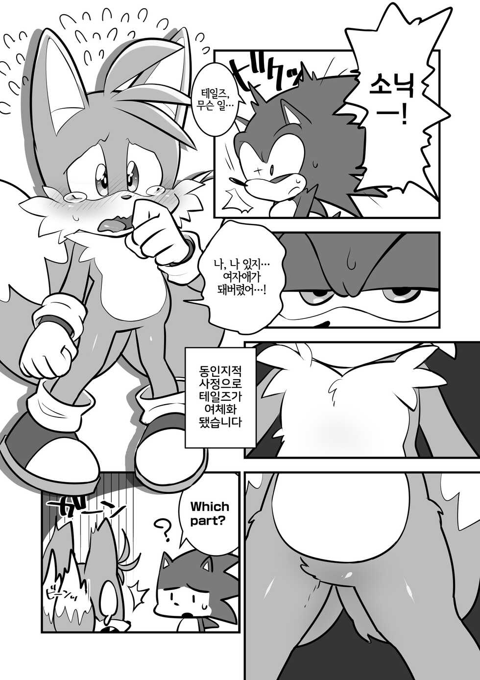 [hentaib] Tails and Sonic's special Fuss (Sonic the Hedgehog) [Korean] [LWND] - Page 2