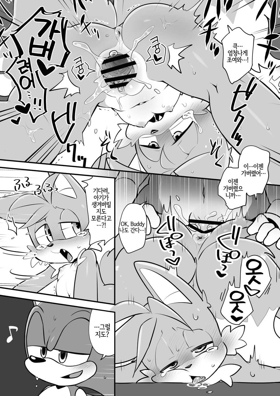 [hentaib] Tails and Sonic's special Fuss (Sonic the Hedgehog) [Korean] [LWND] - Page 13