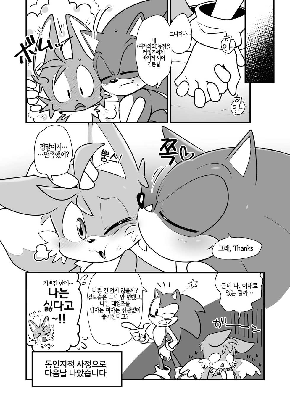 [hentaib] Tails and Sonic's special Fuss (Sonic the Hedgehog) [Korean] [LWND] - Page 15