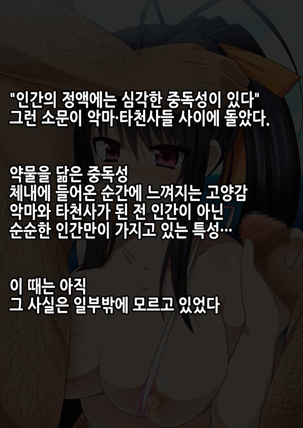 [Strange Beast] Cosplay DxD! Soku Hame Sakusen! ~Semen Kuratte Ippatsu KO!?~V1.02 | 코스프레 DxD! 즉시섹스작전! ~정액먹고 일발KO!~ (Highschool DxD) [Korean] - Page 3