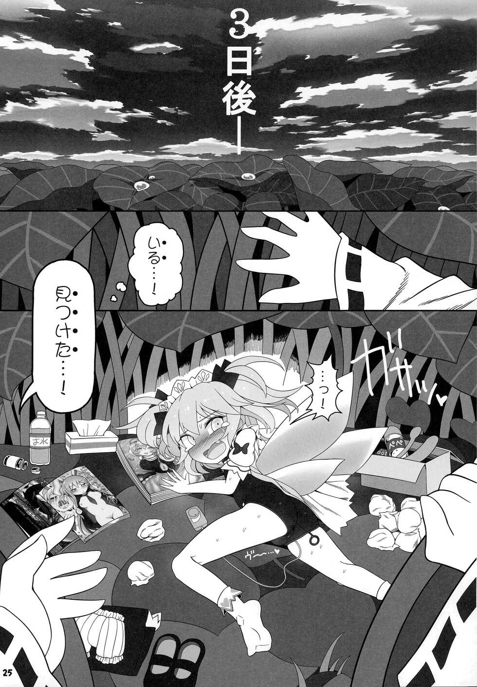 (C100) [Yashiya (YASSY)] Himitsu no Kankei (Touhou Project) - Page 24