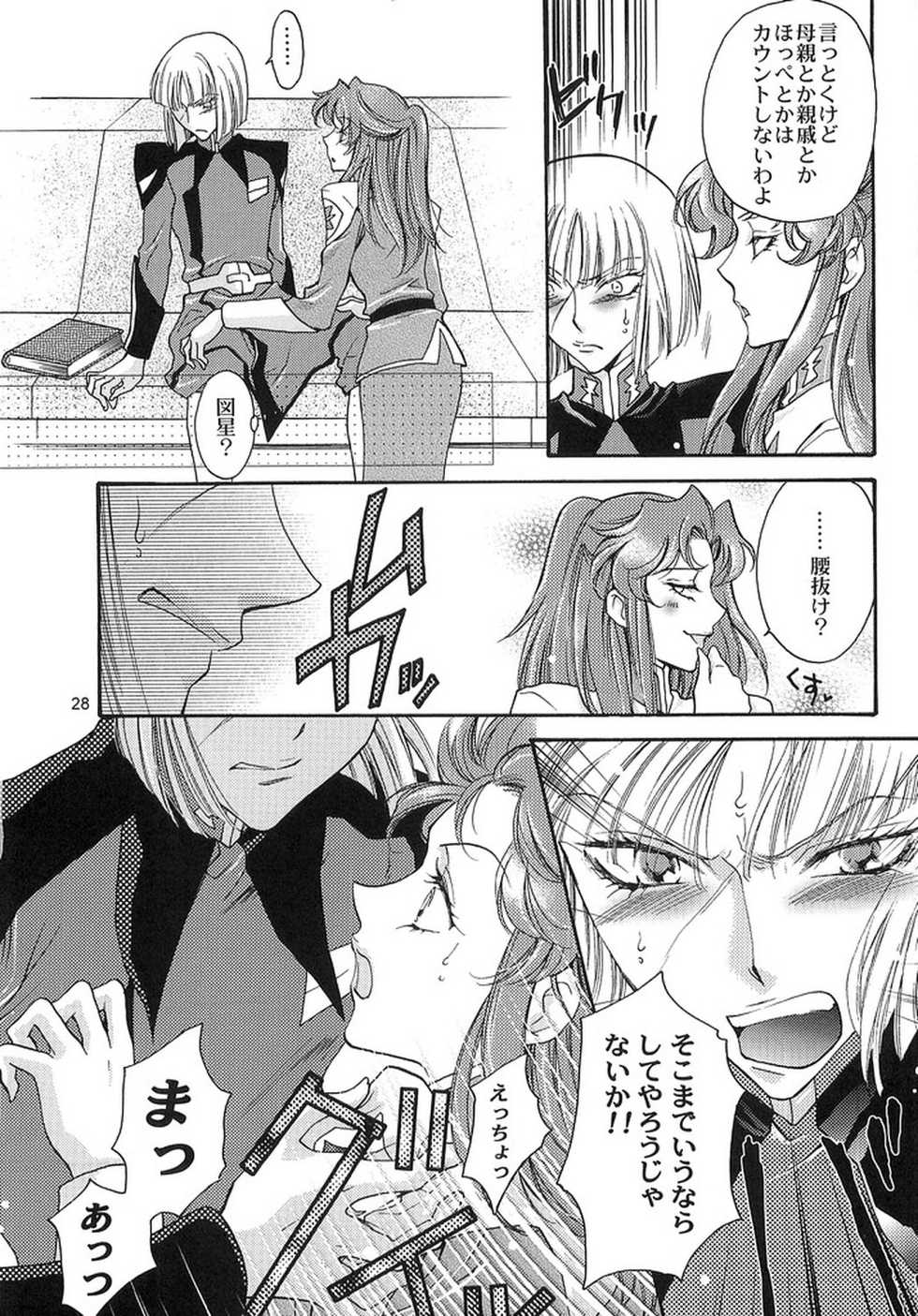 (SEED IMPACT 2nd) [ITALIAN RIX (CHAI, Mamiya Tsukiko)] Rasberry Dream (Gundam SEED) - Page 27