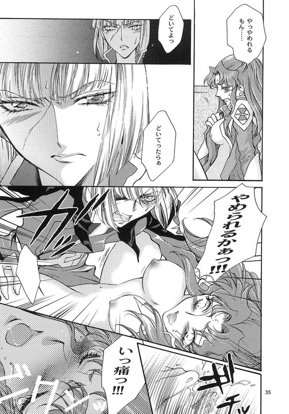 (SEED IMPACT 2nd) [ITALIAN RIX (CHAI, Mamiya Tsukiko)] Rasberry Dream (Gundam SEED) - Page 34