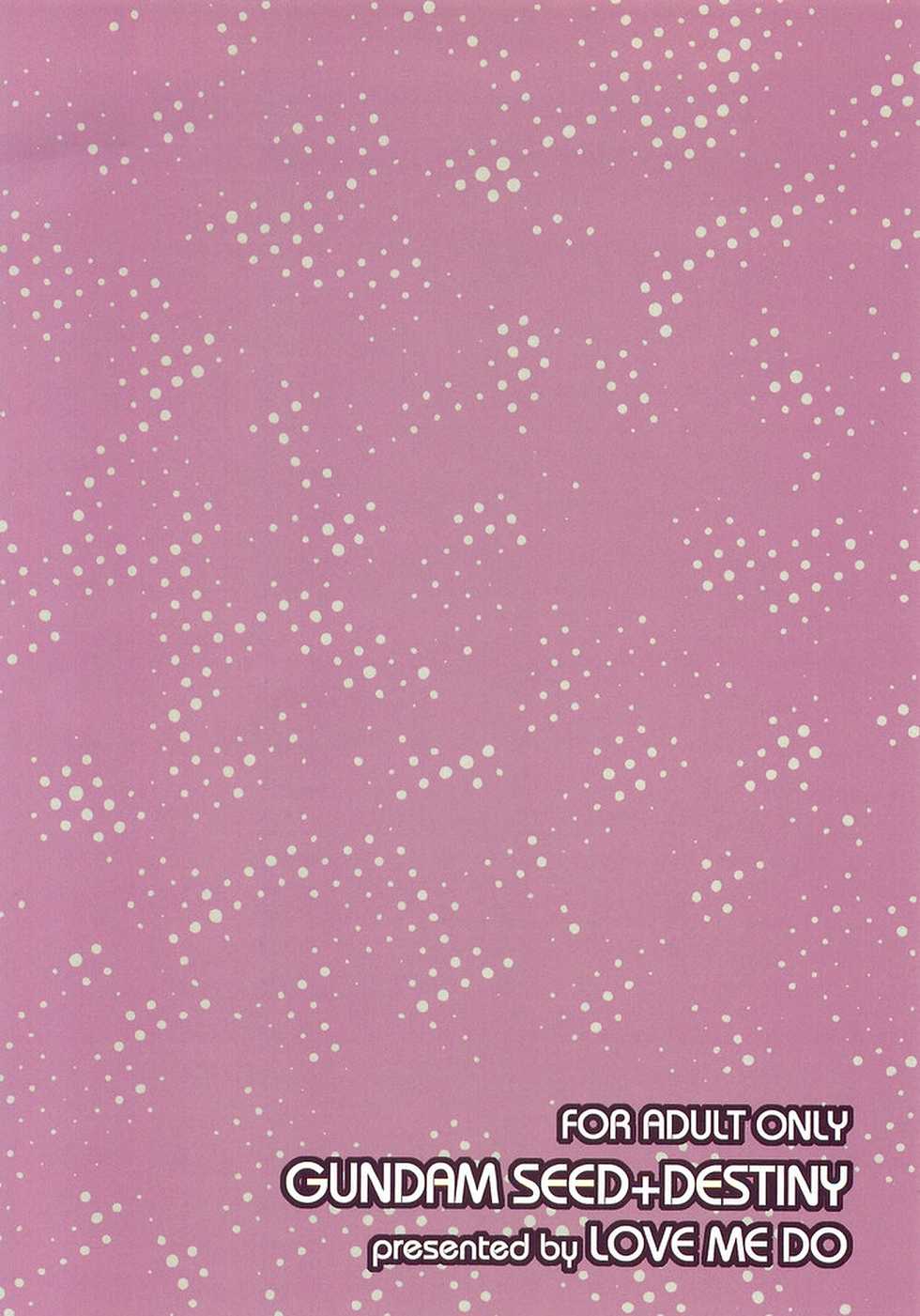 (C68) [LOVE ME DO (Imidas Nakamura, Satou Chiezou)] DYNAMITE PUDDING (Gundam SEED DESTINY) - Page 38