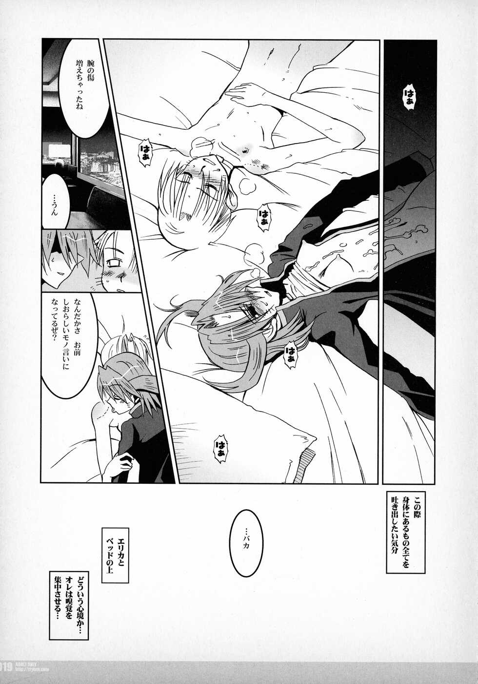[TRYTON (YASUTOMO, HG Chagawa)] Hound Phantazma -Princess of The Universe #01- - Page 19