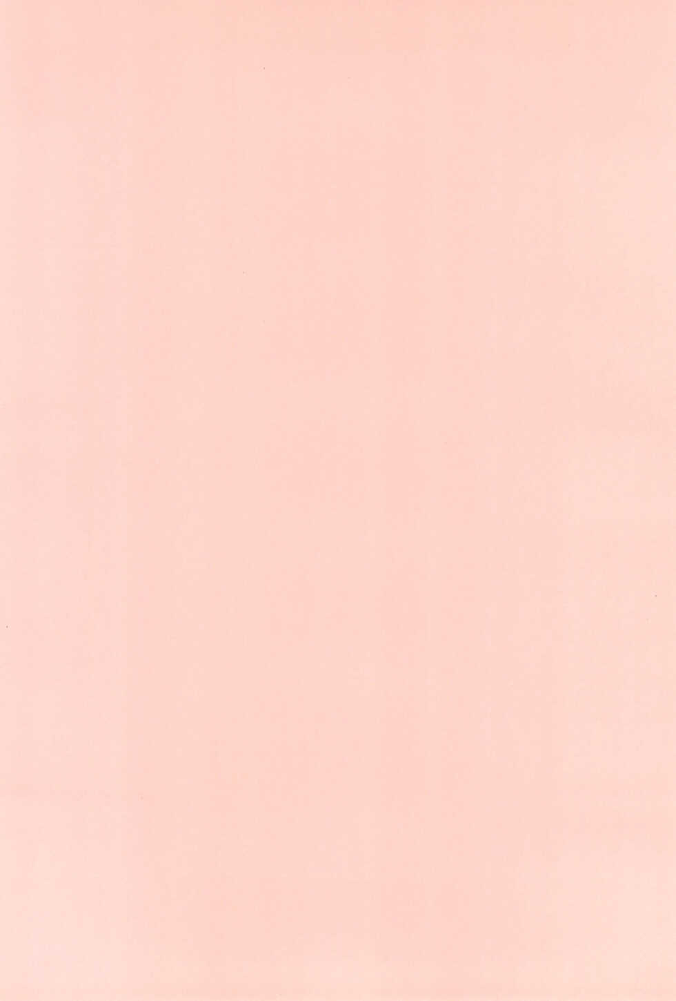 [Juusou Music (Tama Norihiko)] Futsuu Kazoku Robinson - Page 4