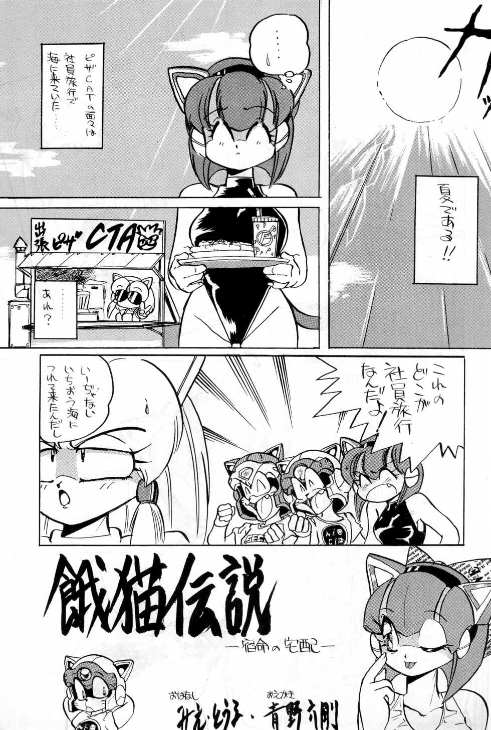 (C44) [Group 601 (Various)] Hash, Hash (Samurai Pizza Cats) - Page 5
