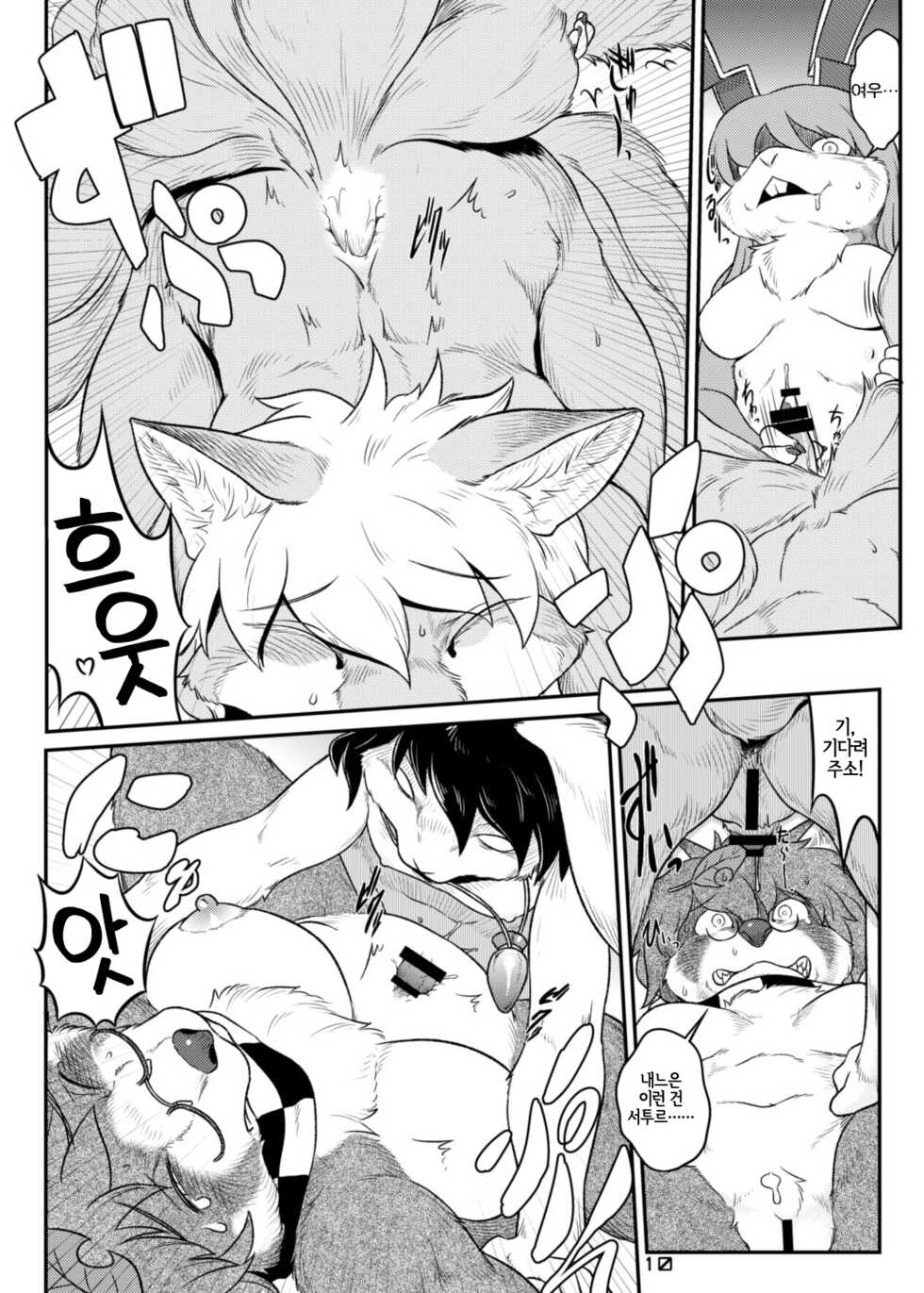 (Reitaisai 11) [Kitsunenomori (Various)] Touhou PLUMFUR 3 (Touhou Project) [Korean] [LWND] - Page 10