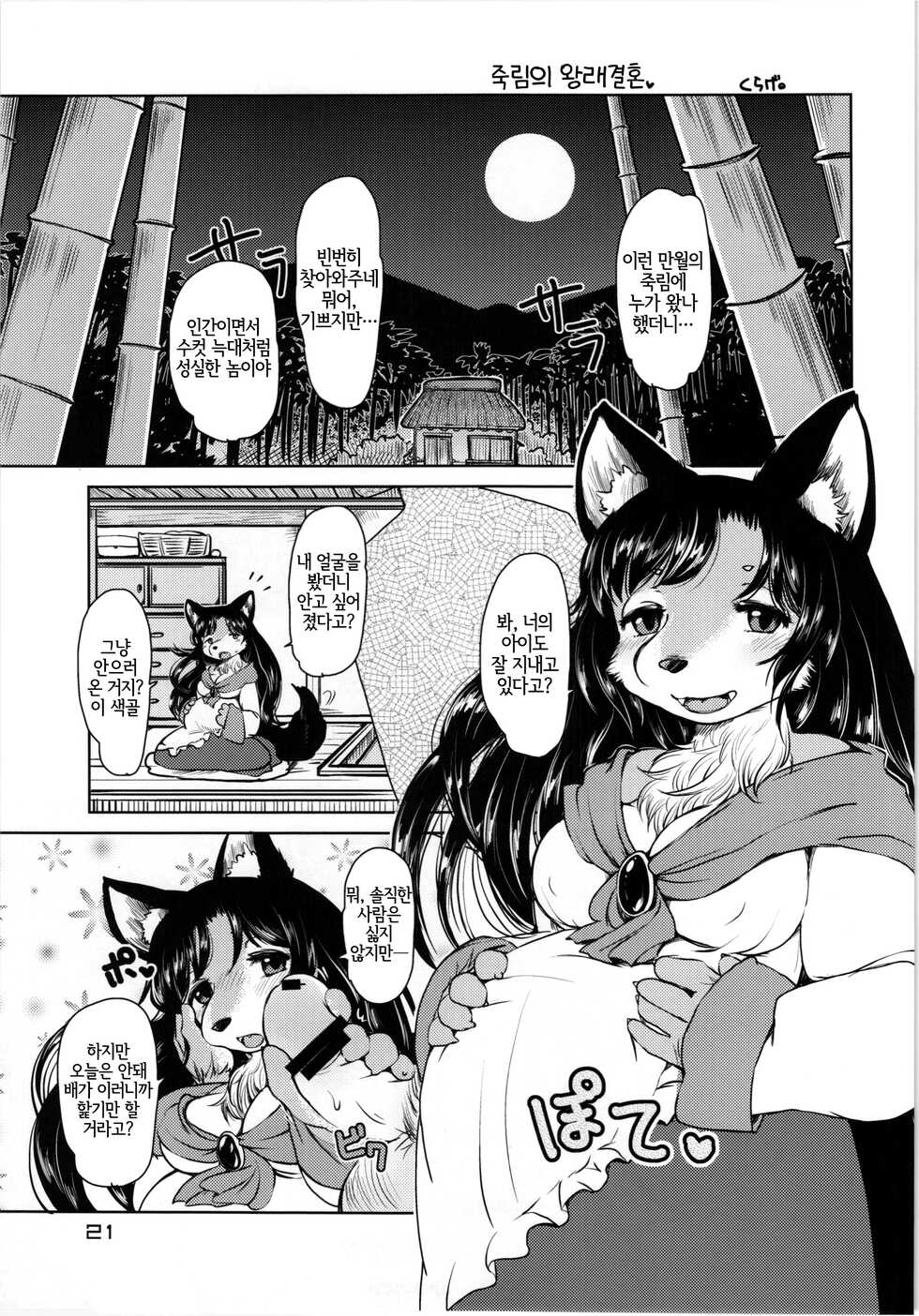 (Reitaisai 11) [Kitsunenomori (Various)] Touhou PLUMFUR 3 (Touhou Project) [Korean] [LWND] - Page 21