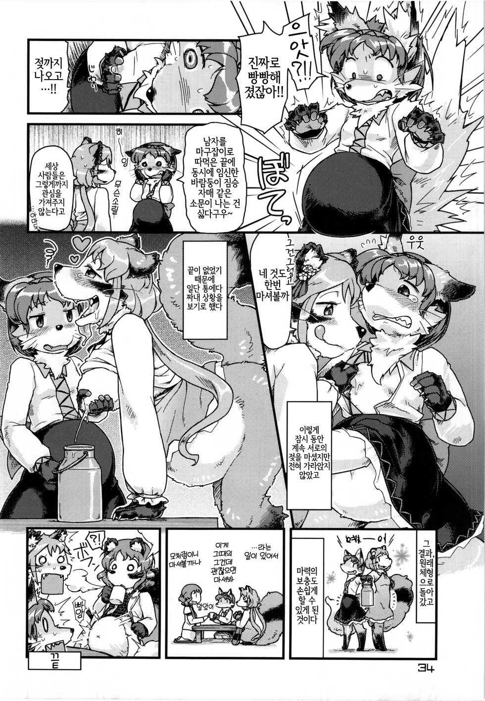 (Reitaisai 11) [Kitsunenomori (Various)] Touhou PLUMFUR 3 (Touhou Project) [Korean] [LWND] - Page 34