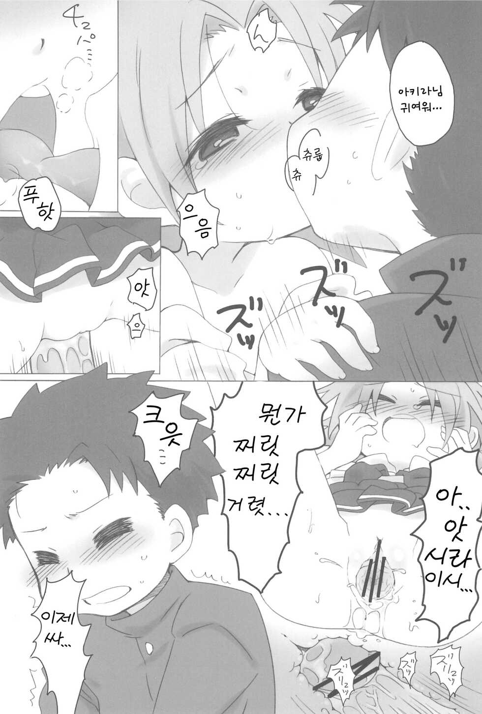 (C74) [Hirokaworld (Hirokawa)] Akiratama | 아키라님 (Lucky☆Star) [Korean] - Page 21