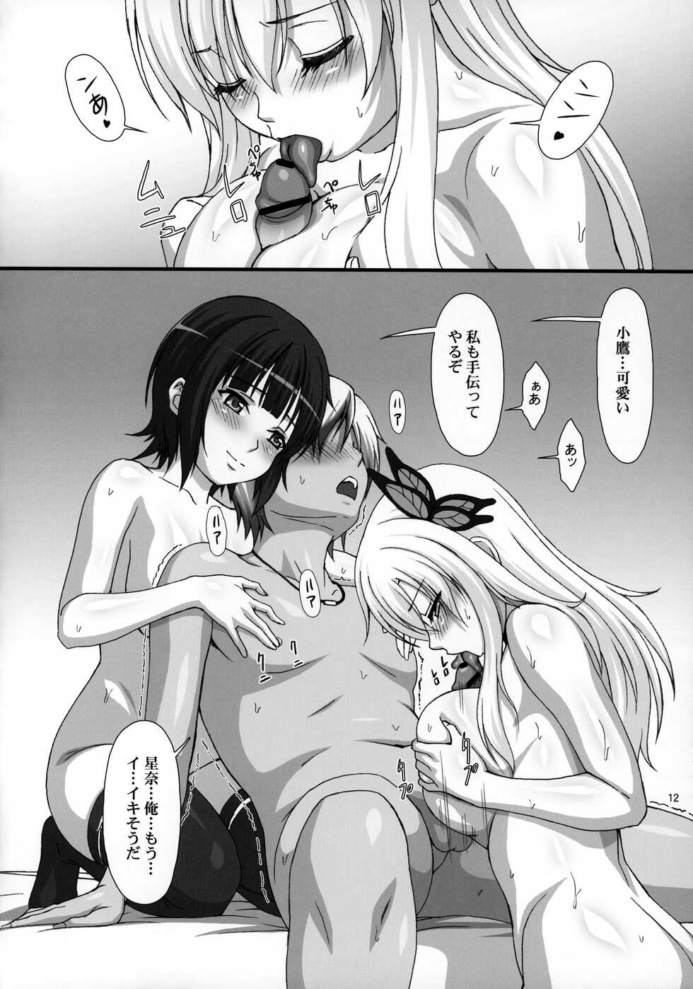 (C82) [AKKAN-Bi PROJECT (Yanagi Hirohiko)] NightHawk XXIX (Boku wa Tomodachi ga Sukunai) - Page 11