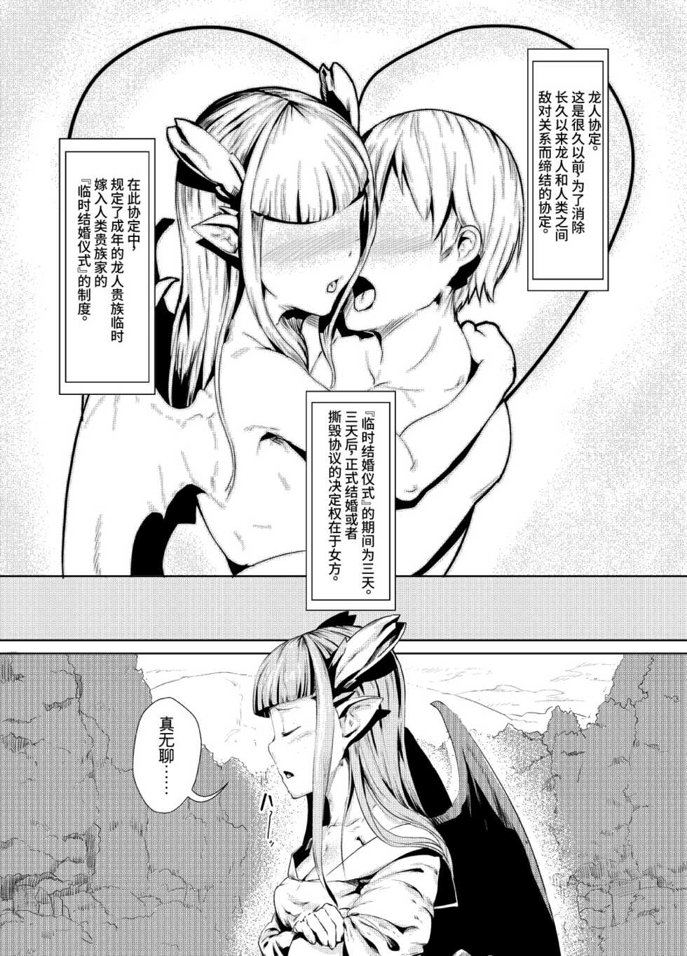 (C80) [AHOBAKA (aho)] ryuuka inraku | The flower of dragons falls into lust [Chinese] [神秘人×真不可视汉化组] - Page 2