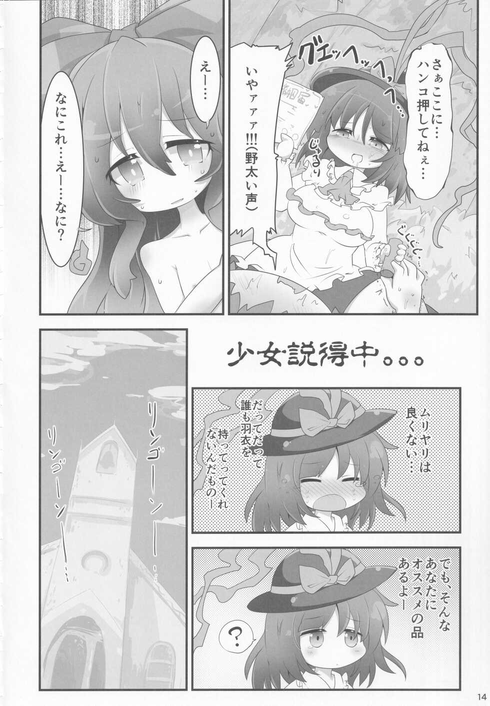 (C94) 	[Gyoniku (Muuba)] Fuku o Kai ni Iku Fuku ga Nai (Touhou Project) - Page 13