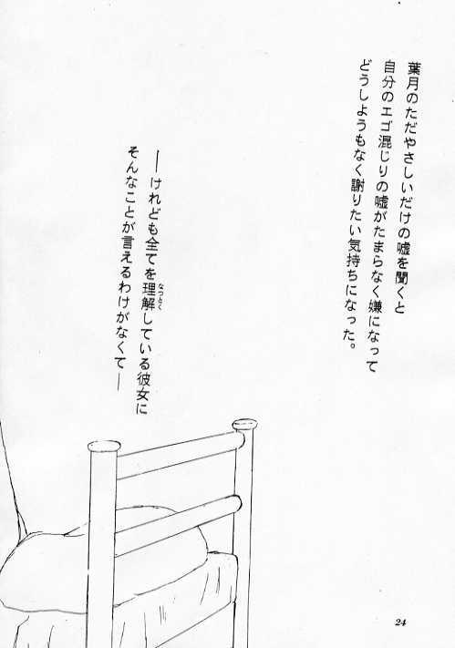 (C51) [Nihon Waru Waru Doumei (Arima Keitarou)] LIE -Uso- - Page 22