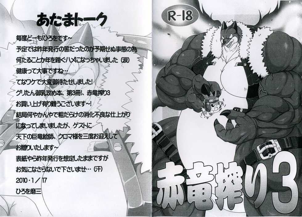 (CCTokyo123) [Beetamax (Hirowo Mami)] Sekiryuu Shibori 3 (Legendz: Tale of the Dragon Kings) - Page 2